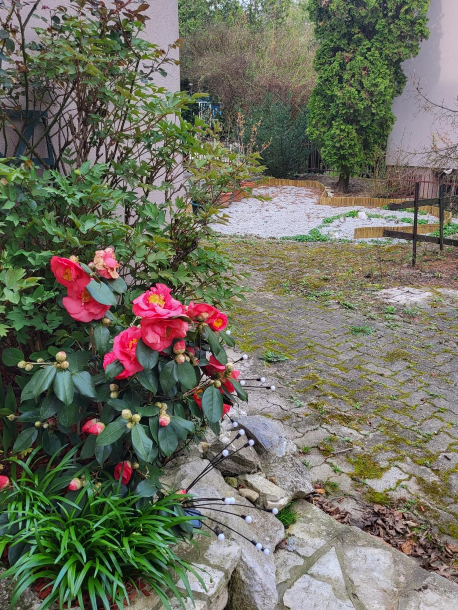 Vino & Grad Apartament Zagrzeb