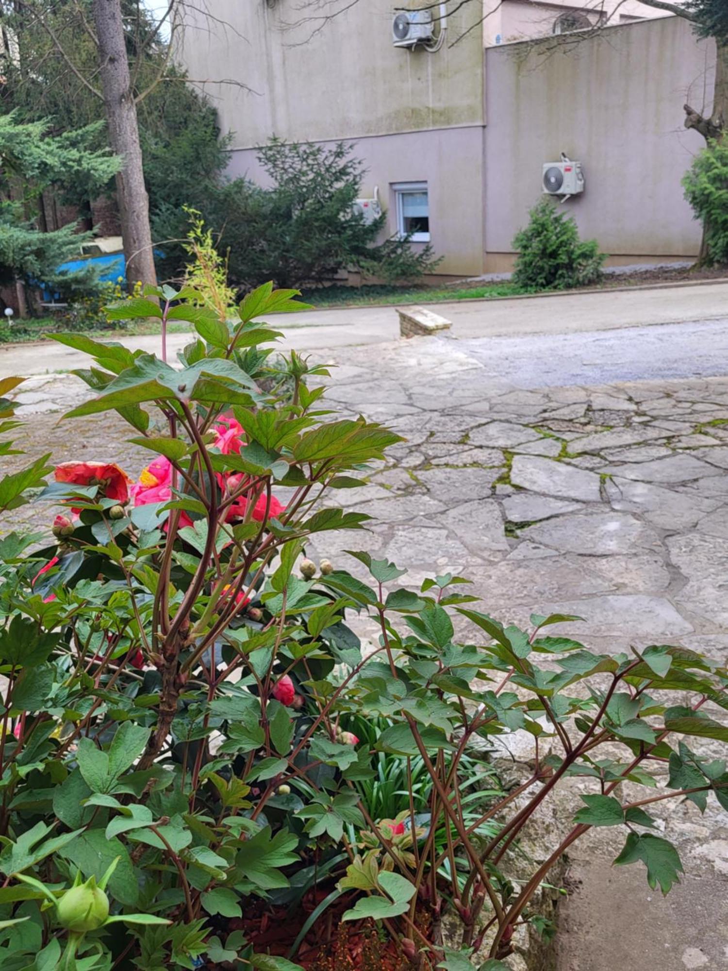 Vino & Grad Apartament
