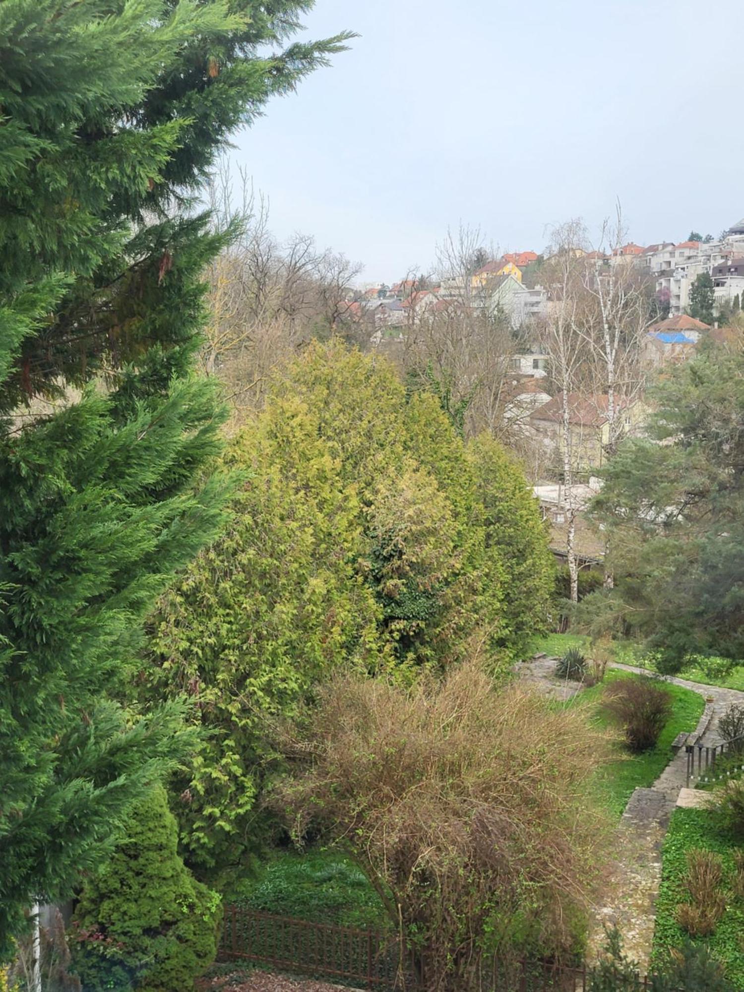 Apartament Vino & Grad