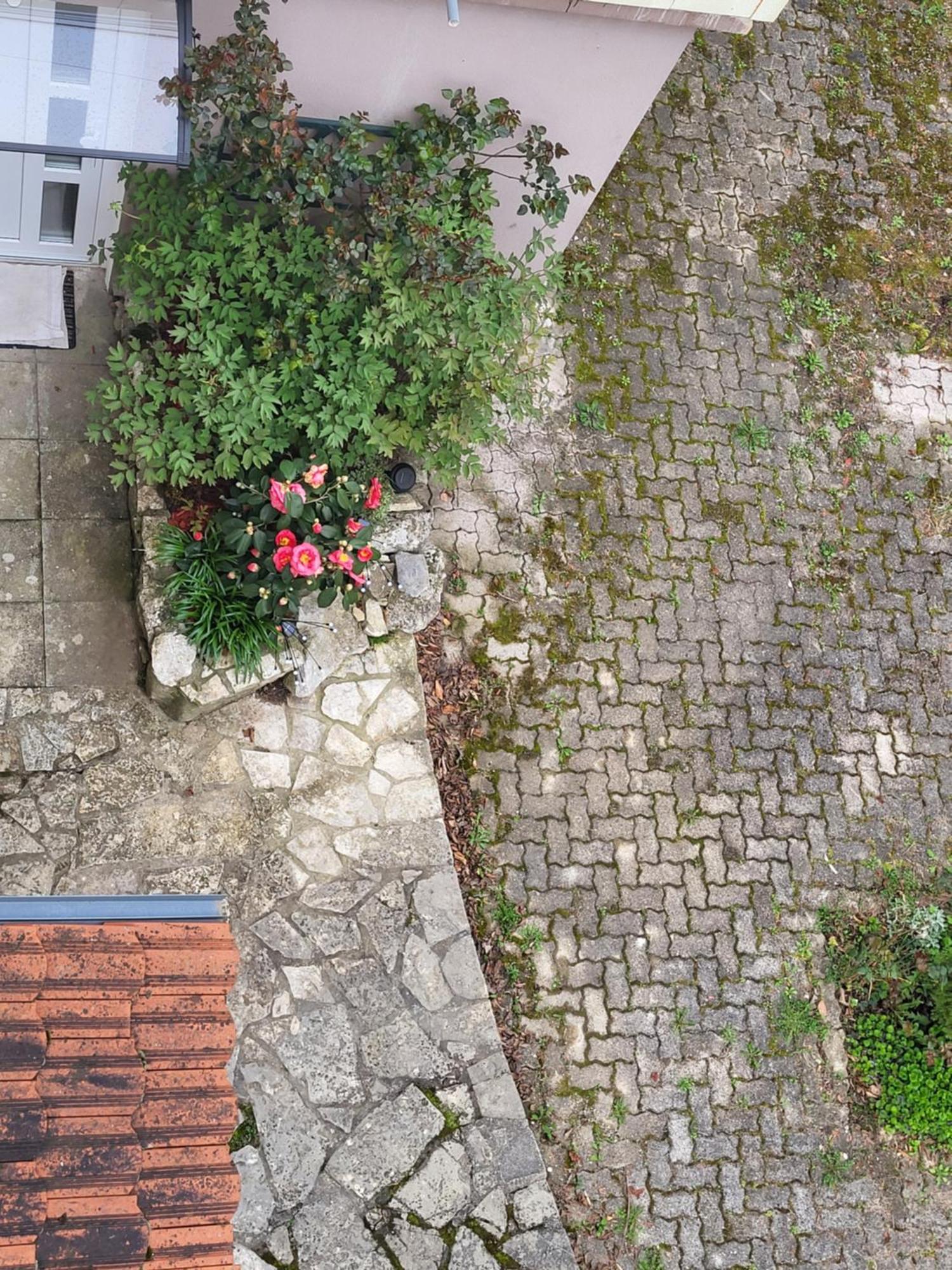 Apartament Vino & Grad