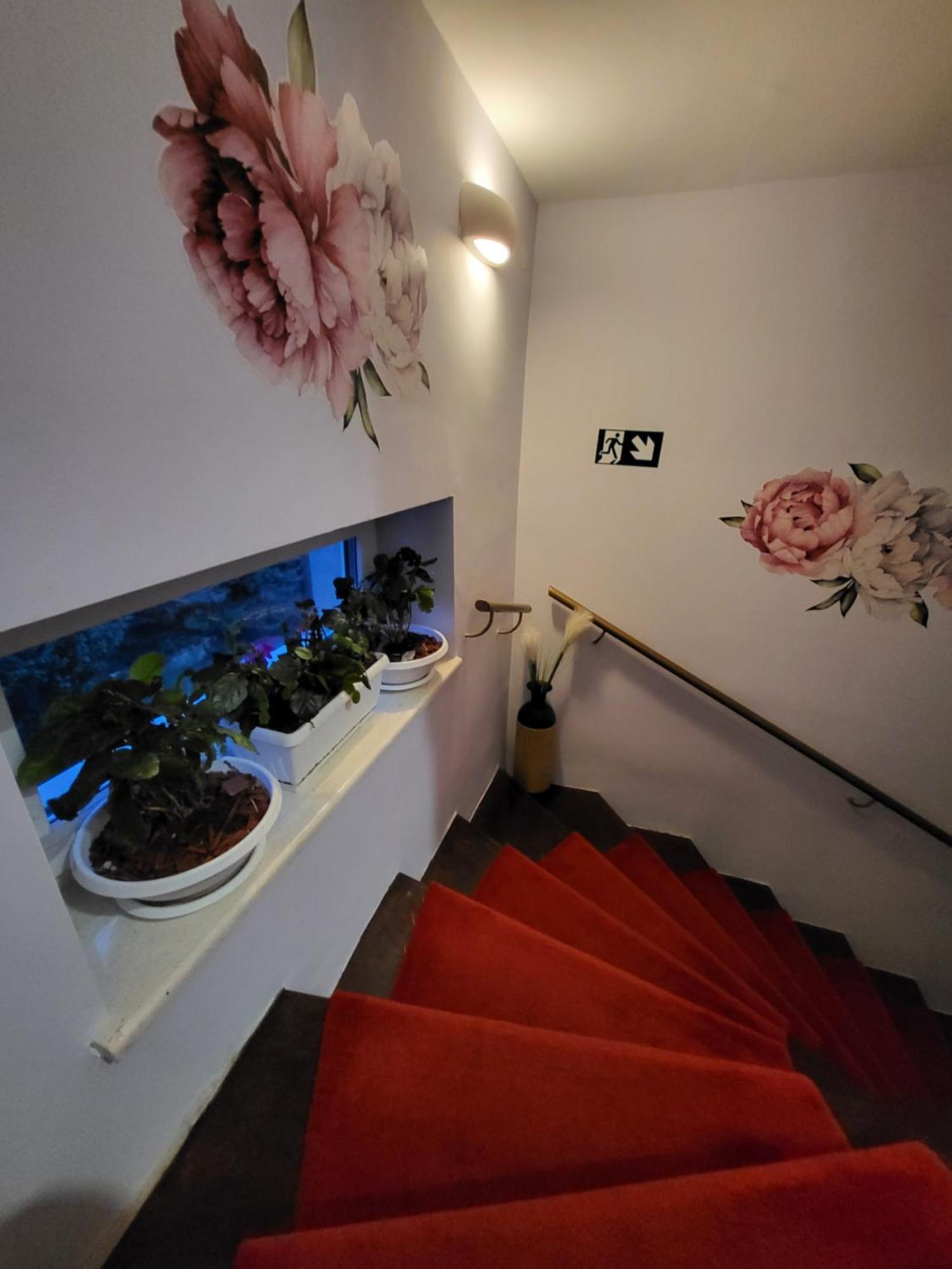 Vino & Grad Apartament *